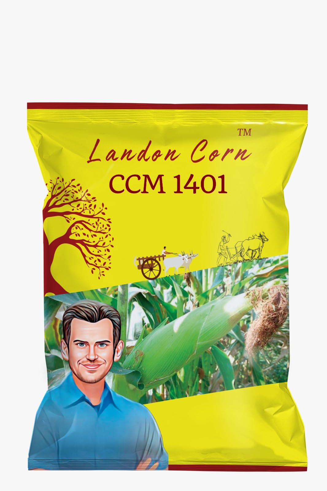 Landon Corn Seeds CCM 1401 – High Yield Hybrid Maize Seeds for